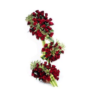 4 Feet Tall Arrangement of 100 Roses Flower