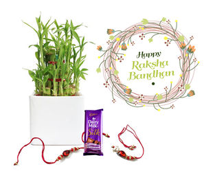 Raksha Bandhan Gift Lucky Bamboo 3 layers Combo with Rakhi 