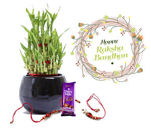 Raksha Bandhan Gift Lucky Bamboo 3 layers Combo with Rakhi 