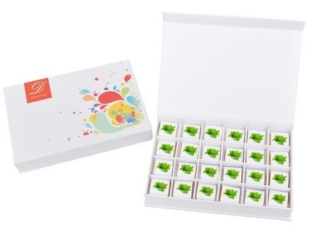 Mint Chocolate Pack Mint Chocolate Pack