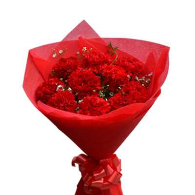 Delightful Carnation Bunch Delightful Carnation Bunch
