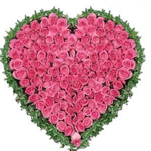 Pink Heart Flower