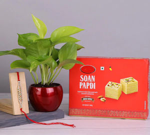 Designer Rakhi With Money Plant And Soan Papdi