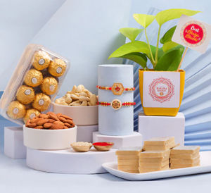 Money Plant Rakhi Bliss - Set of 2 with Sweets & Nutty Treats