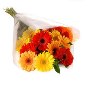 Mixed Gerbera Bouquet Flower