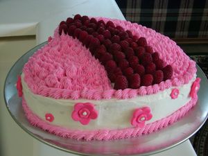 Raspberry Cake