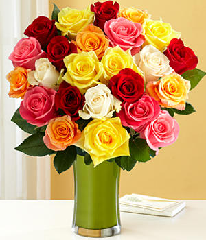 Rose Rainbow Collection Rose Rainbow Collection
