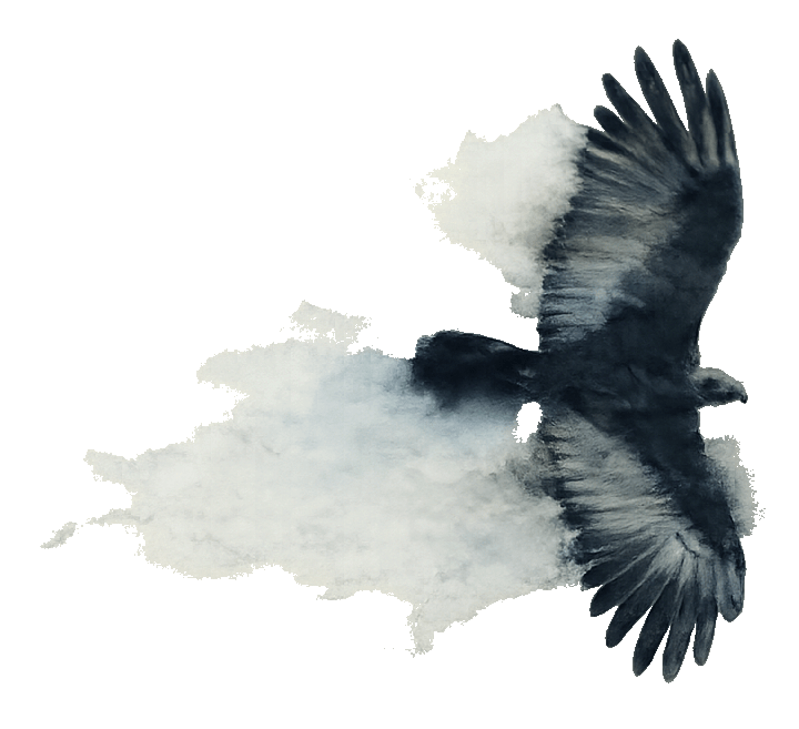 Animação de um urubu (Jereba)