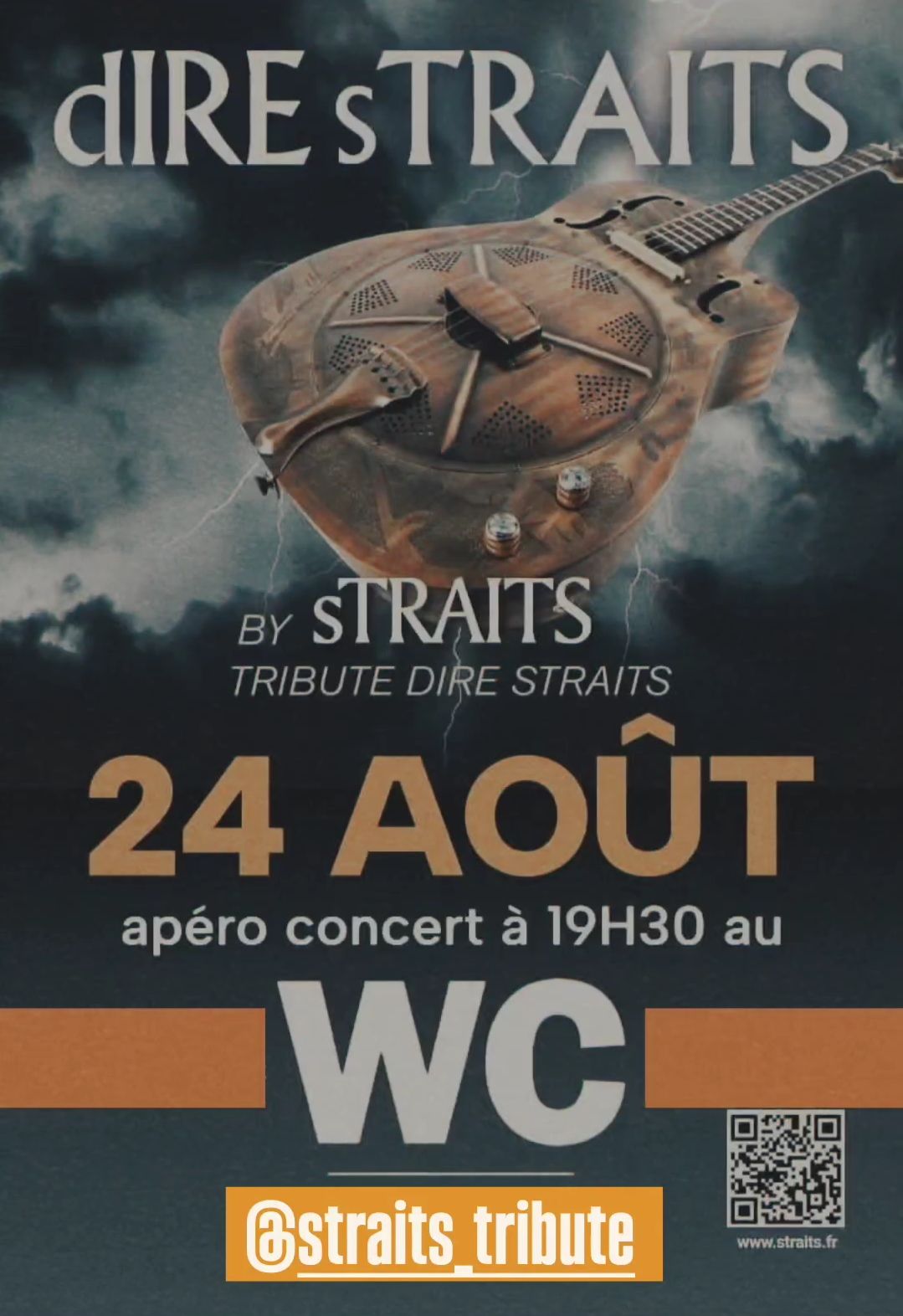 dIRE sTRAITS Tribute Concert
