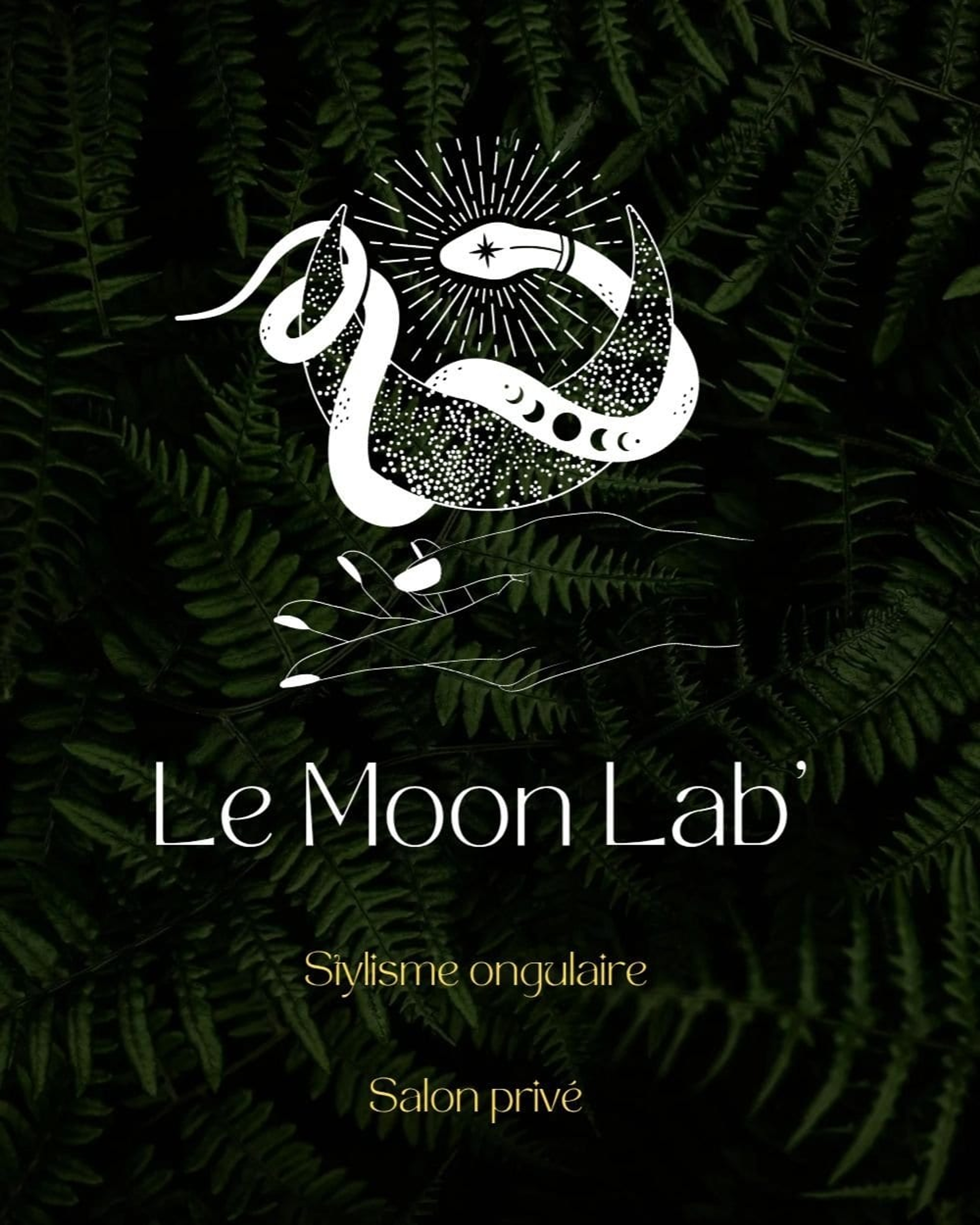 Photo de profil Le Moon Lab'