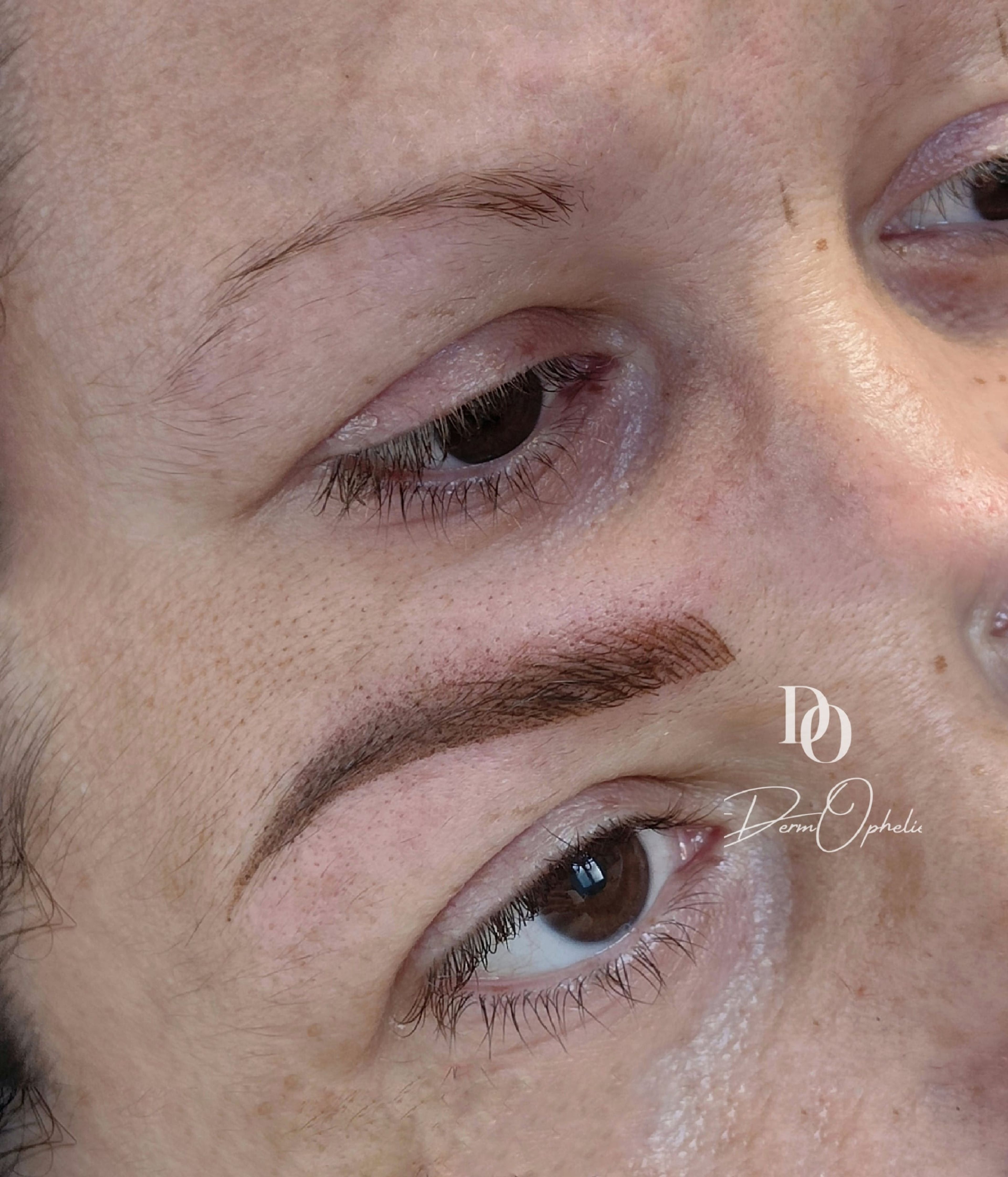 Sourcils poil à poil ou combo
