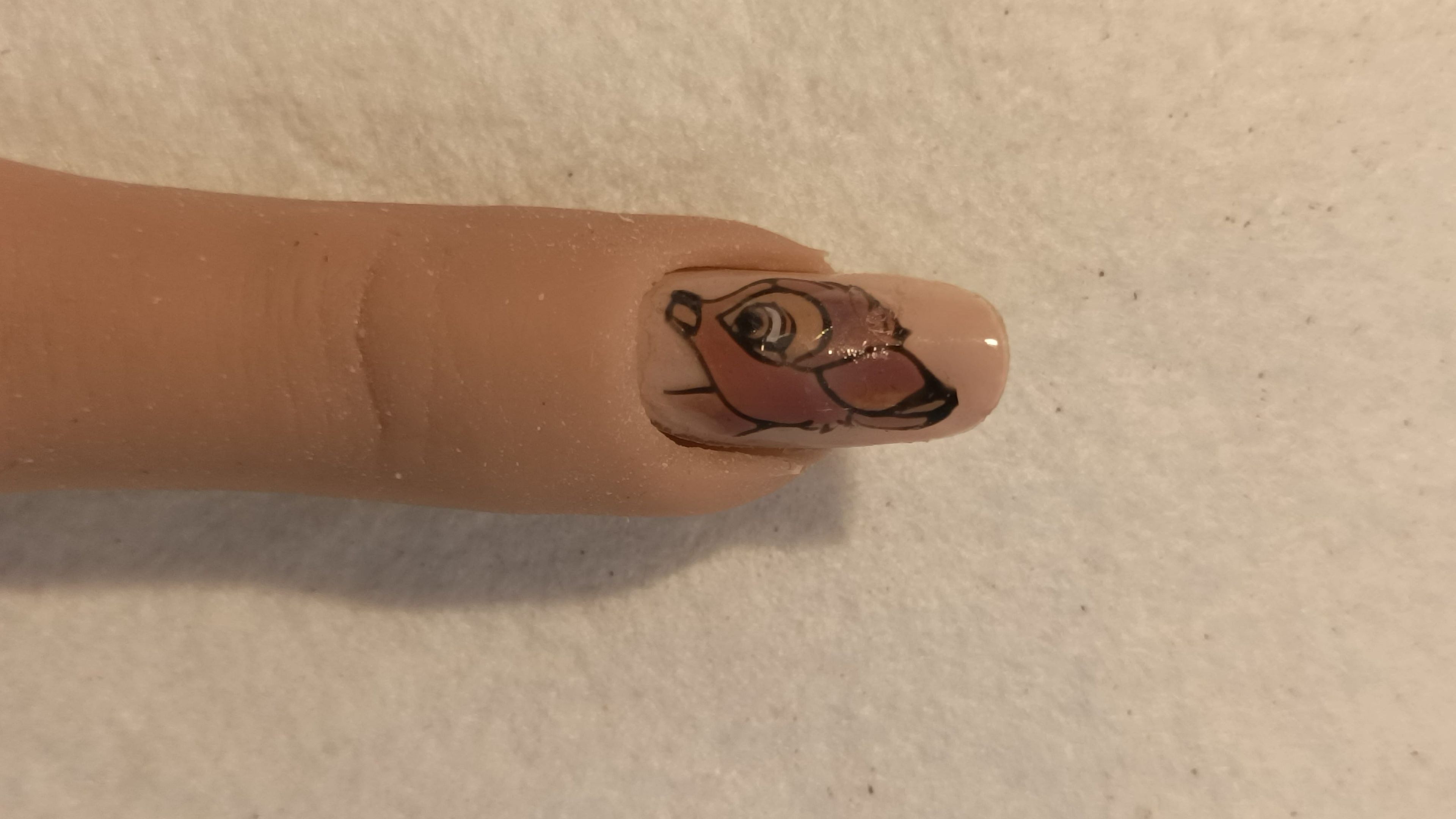 Stickers fait mains Couleurs 
