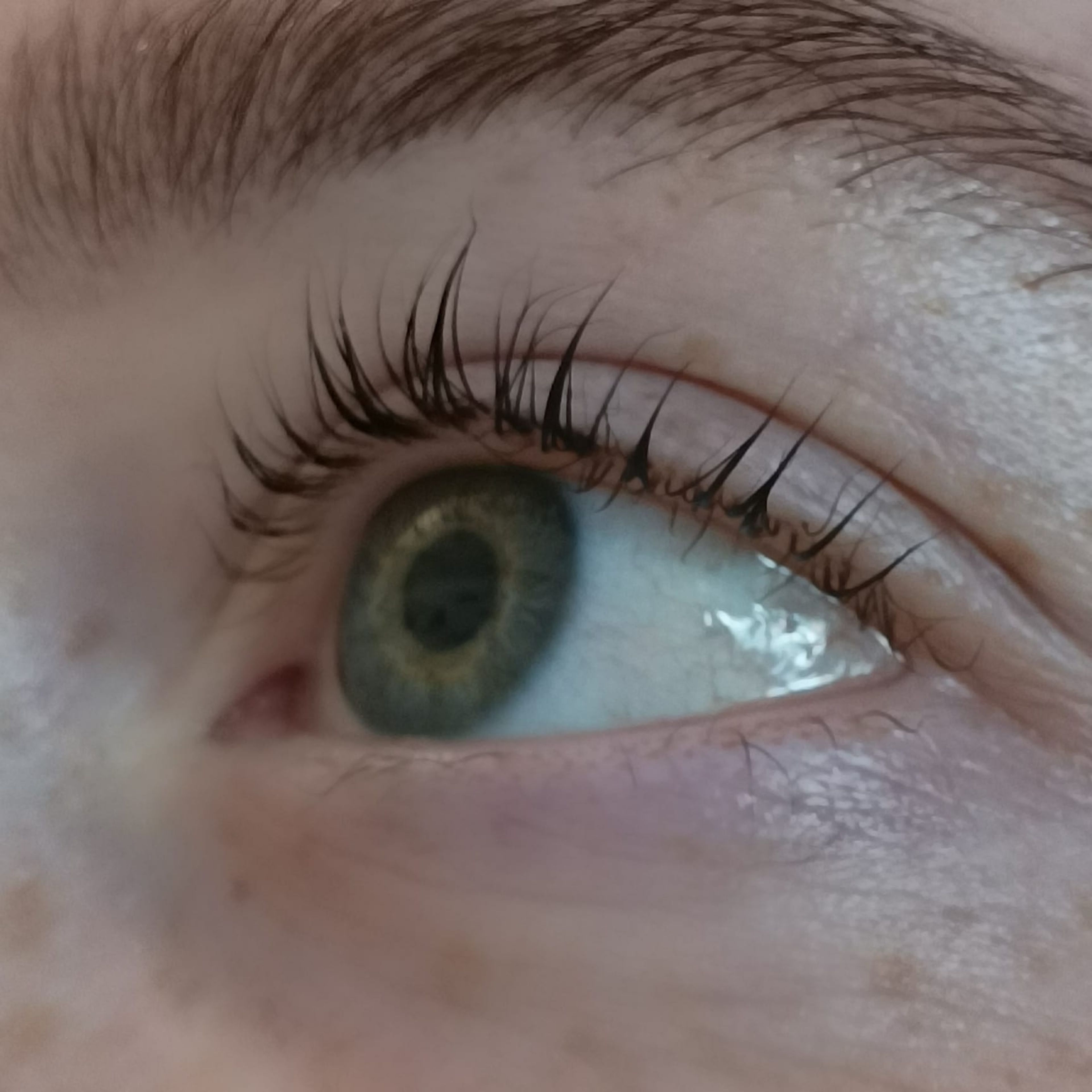 Rehaussement de cils avec teinture 