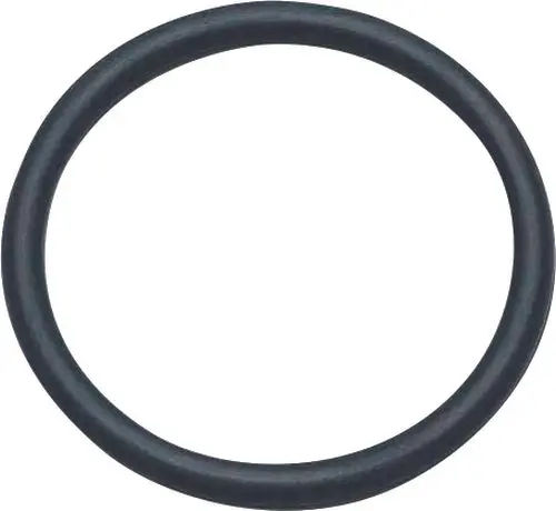 S/B61 | 3/4'' O Ring (100 pieces) image 1