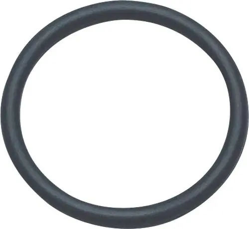 S/B62 | 3/4'' O-Ring (100 pieces) image 1