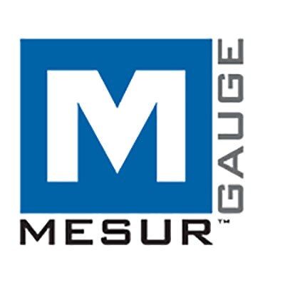 15-1004 | MESUR™ gauge software image 1