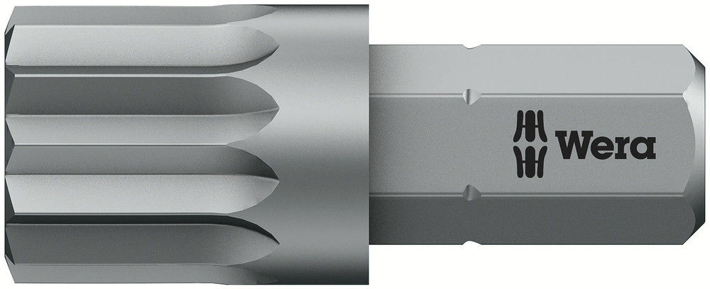 05066170001 | M10 x 25mm Multi-Point Insert Bit image 1