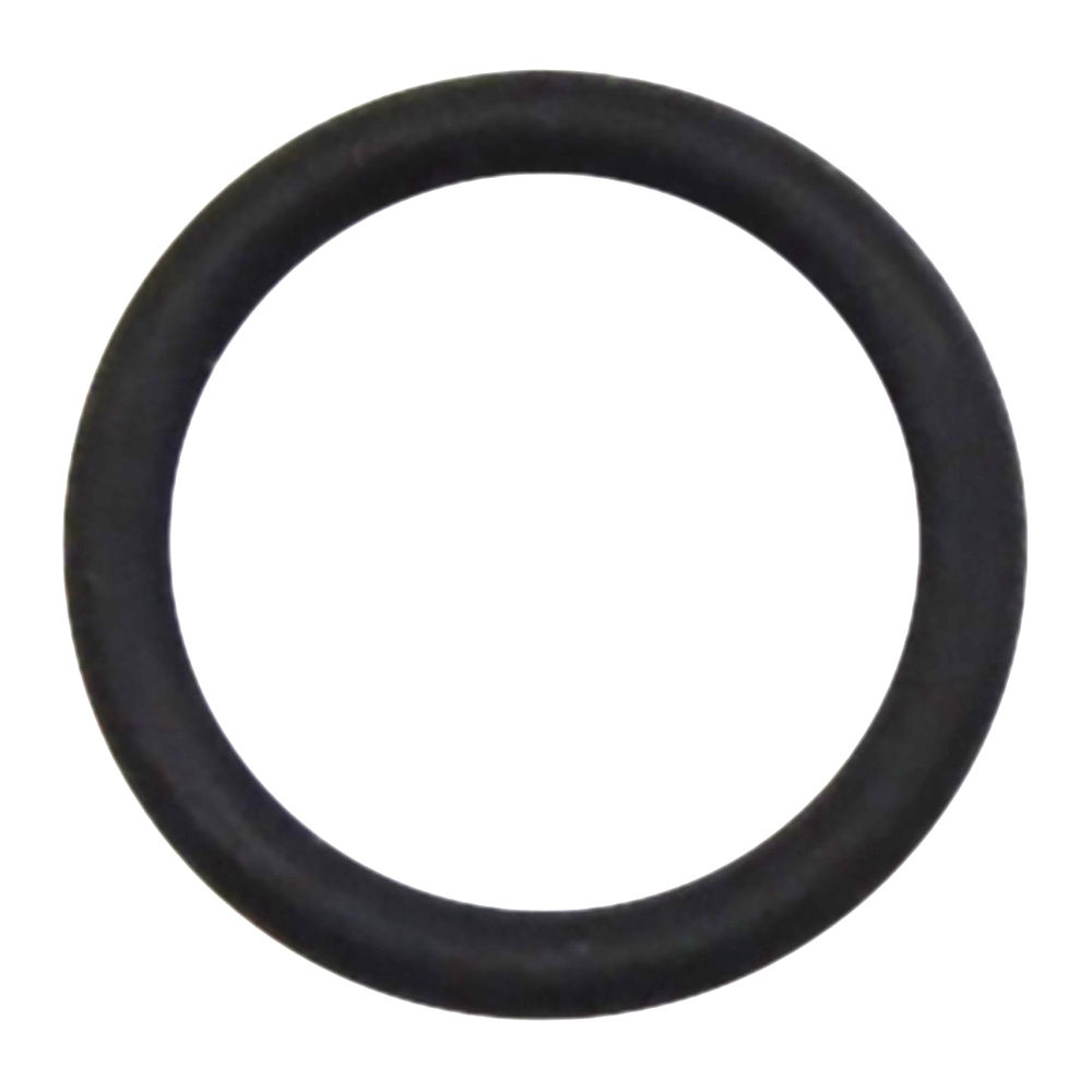 202-290 | O-Ring image 1