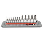 12 Piece Tamper Proof Torx Bit Socket Set thumbnail 5