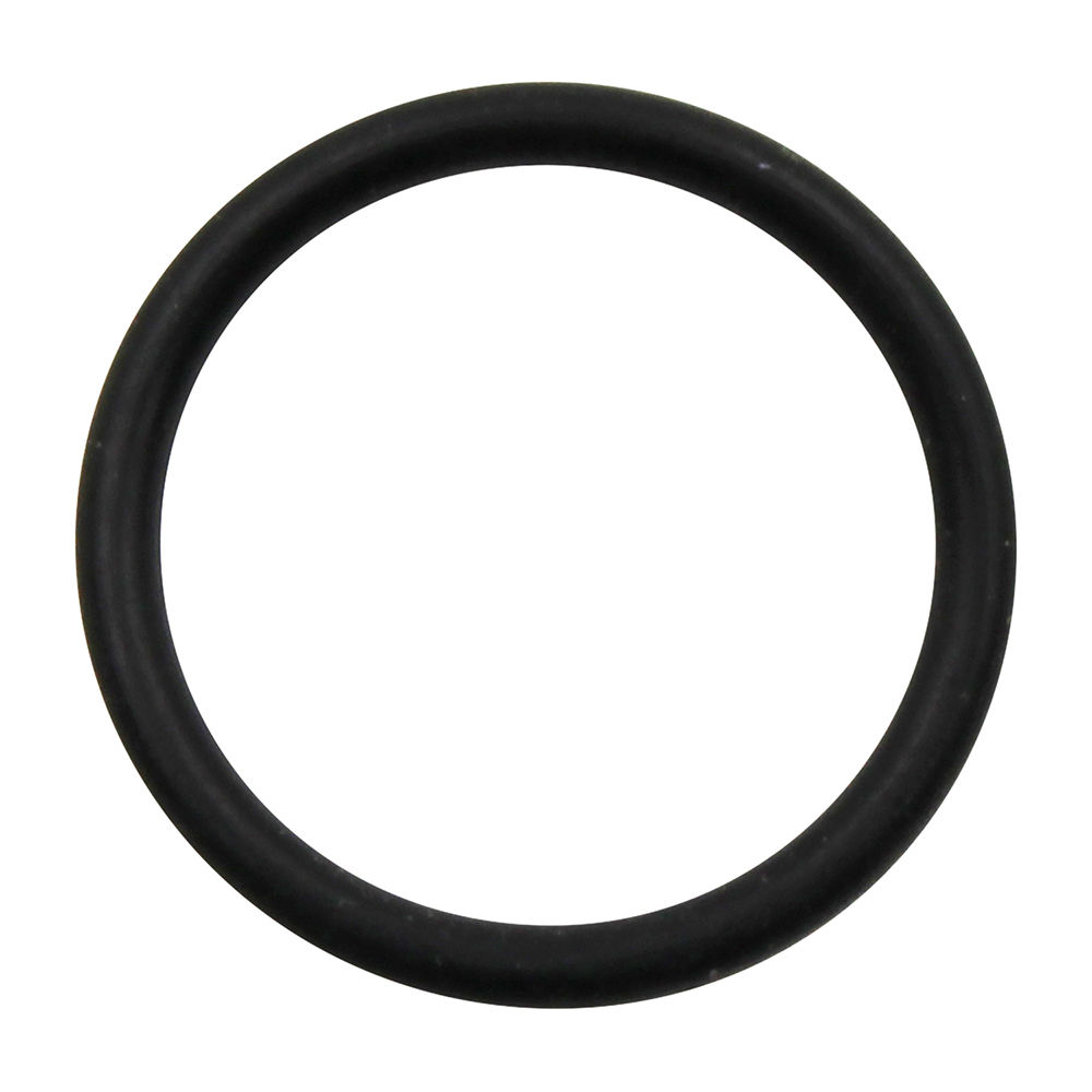 16570798 | O Ring image 1