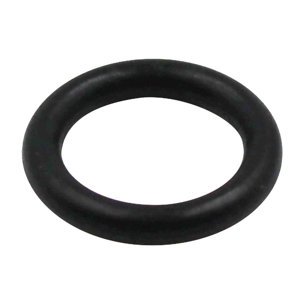 405-159 | O-Ring image 1