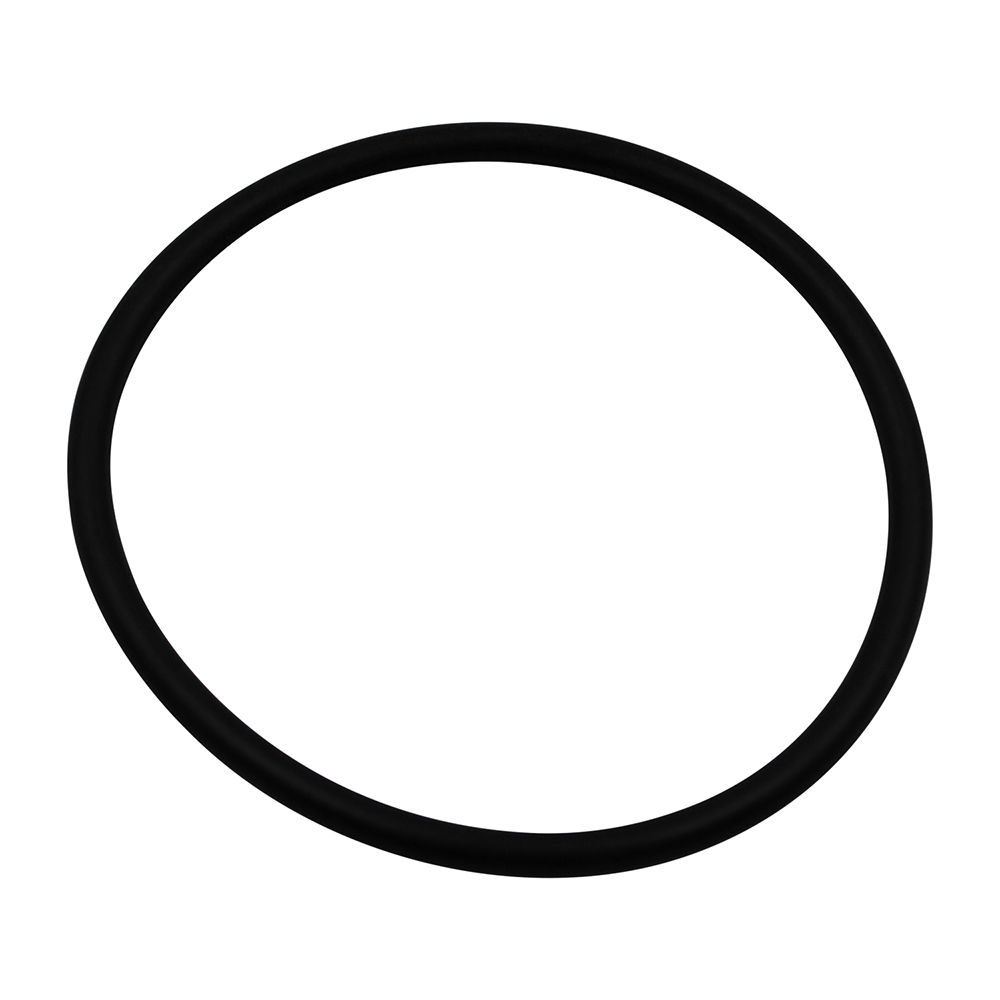 538-316 | Retainer O-Ring image 1