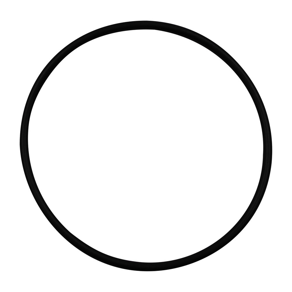 16570780 | O Ring image 1