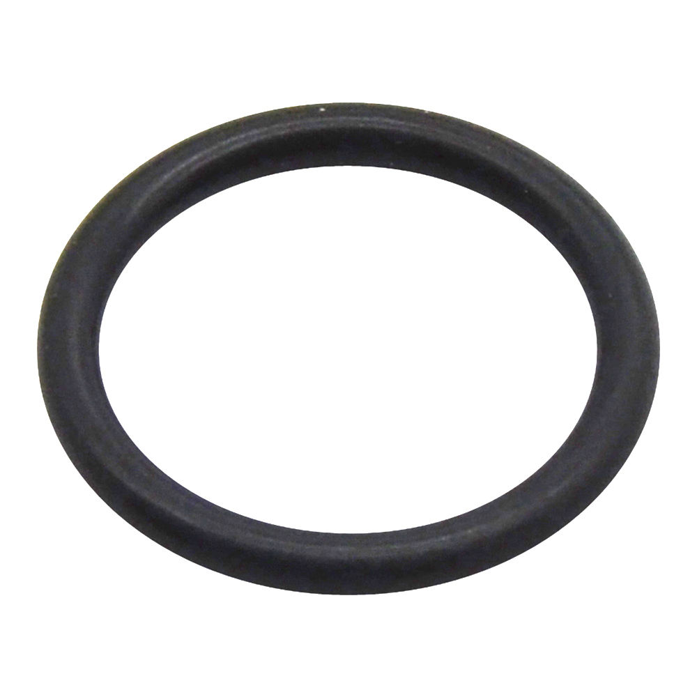 Y325-214 | O RING, BLACK image 1