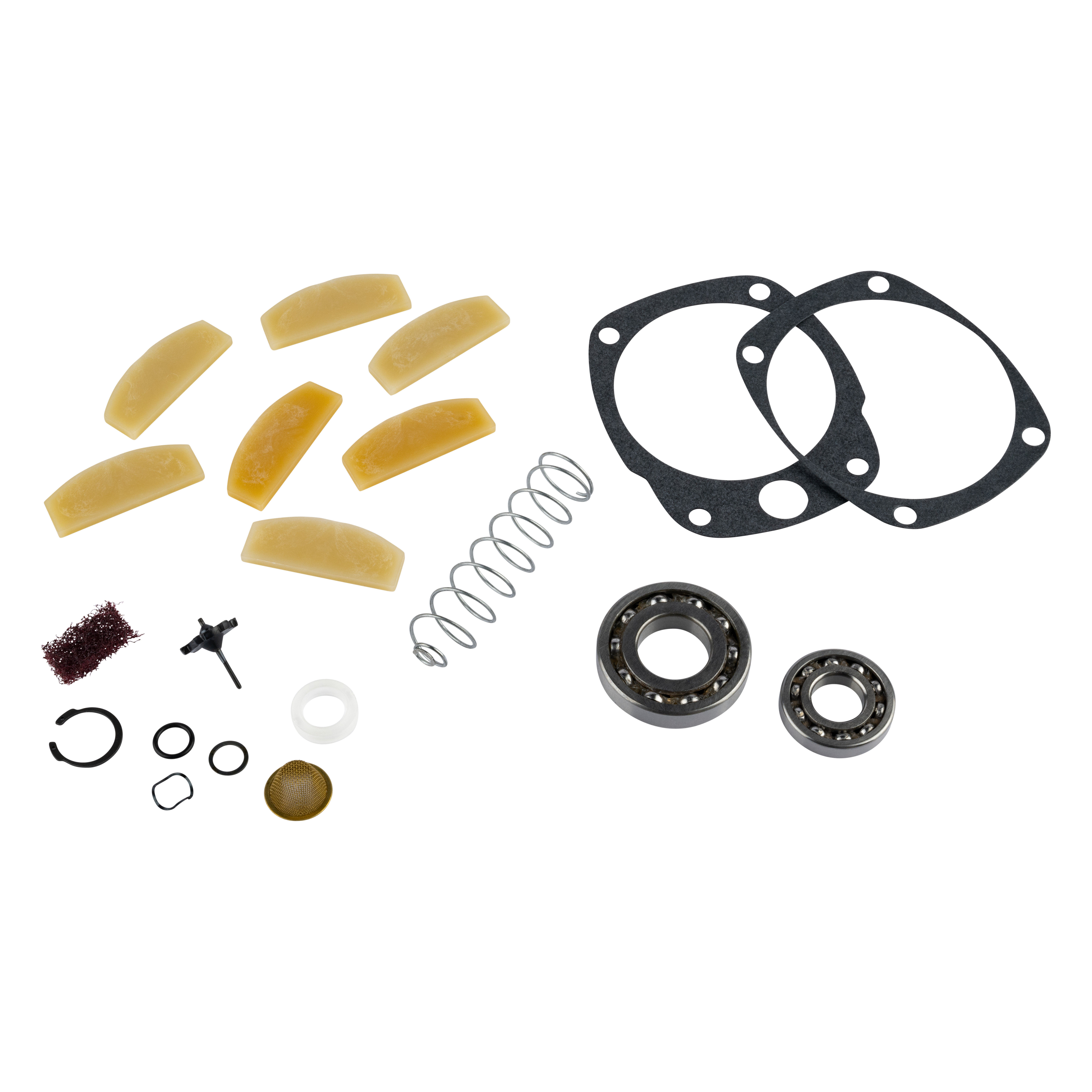 2925-TK2 | Tune-Up Kit image 1