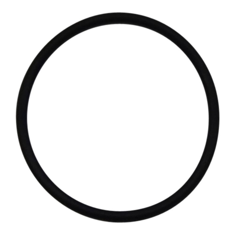 R000A2-103 | Buffer Washer,O-Ring Qty 1 image 1