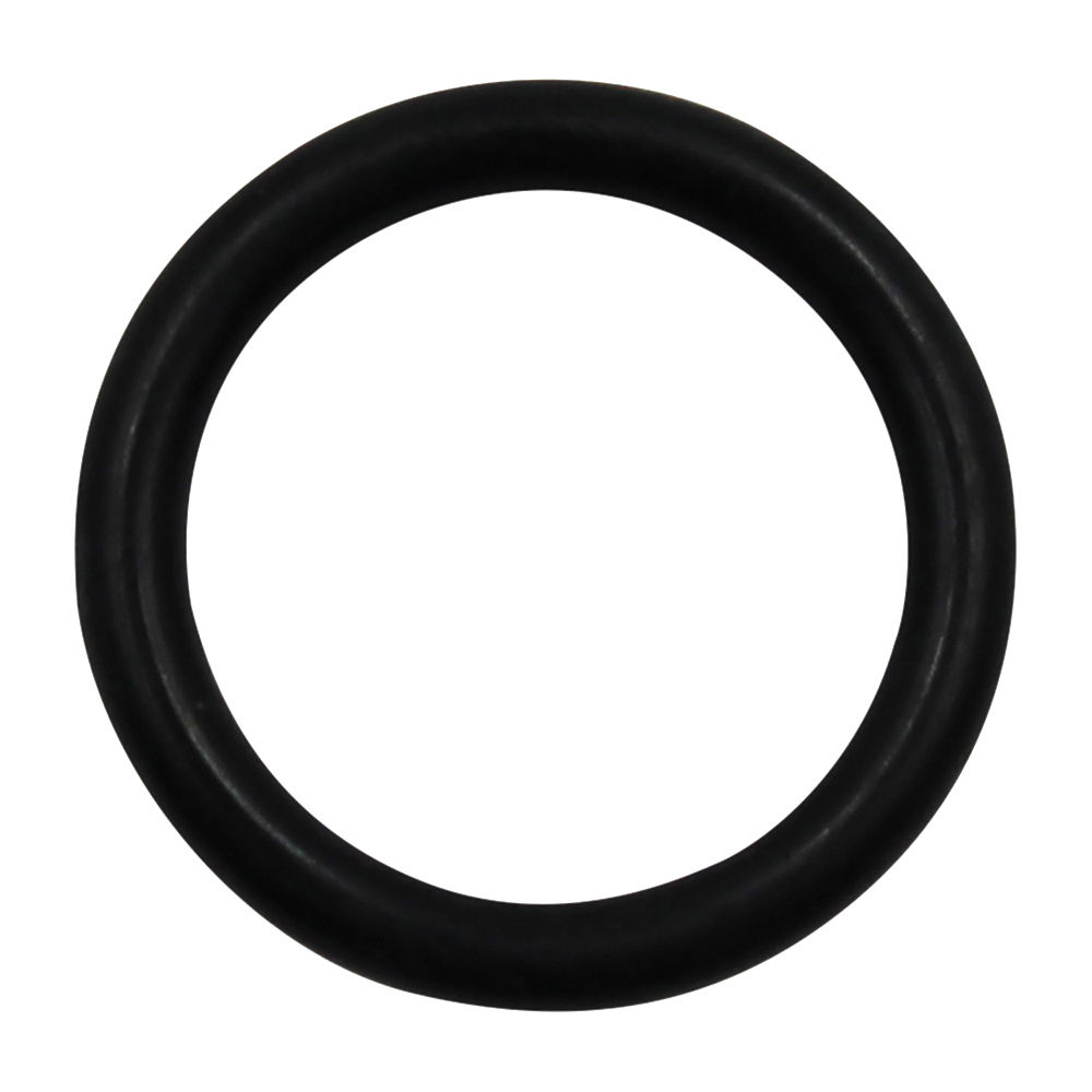 40284 | O Ring image 1