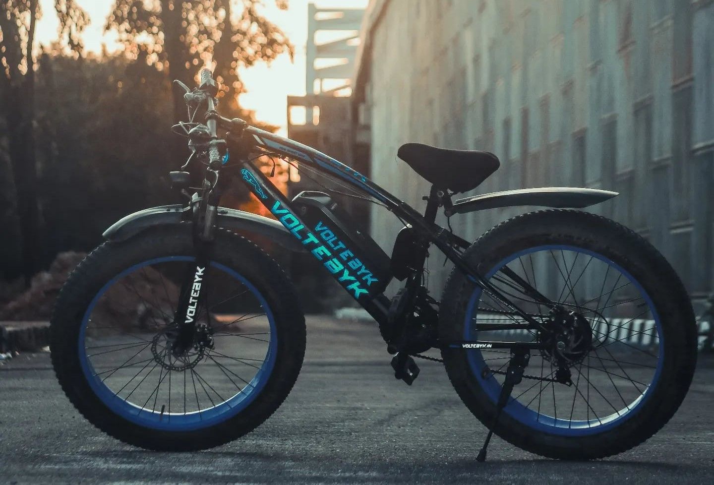 volt Shine ladies electric cycle price, battery ladies cycle