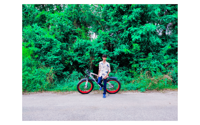 Best Electric Cycles India