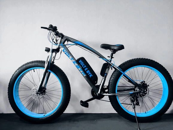 Best Electric Cycles India