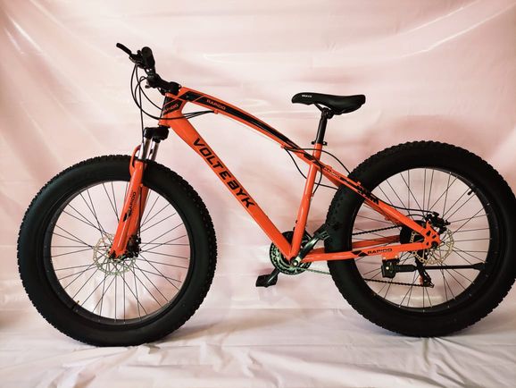 Best Electric Cycles India