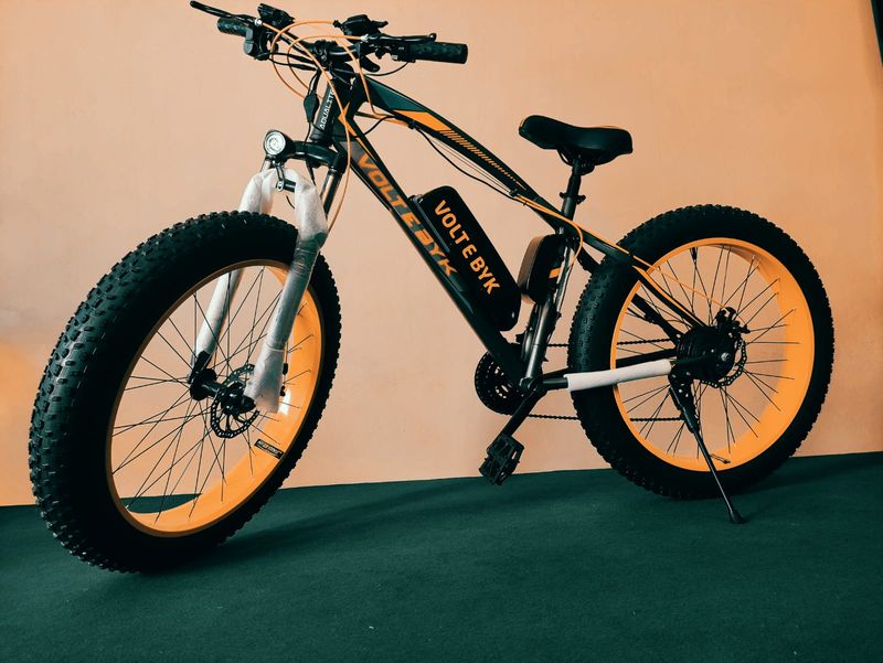 Best Electric Cycles India