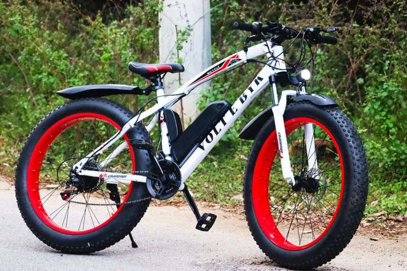 Best Electric Cycles India