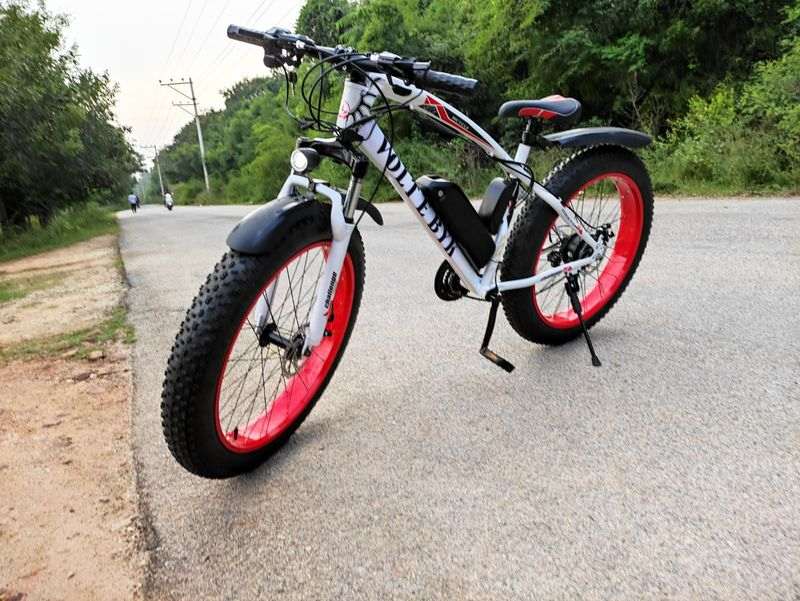 Best Electric Cycles India