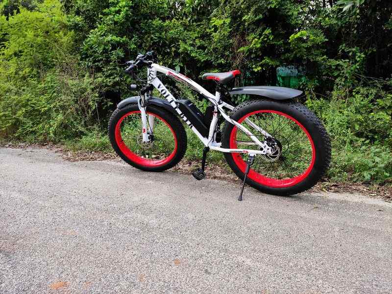 Best Electric Cycles India