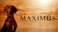 handcrafted hardwood urn engraved with an image of a dog