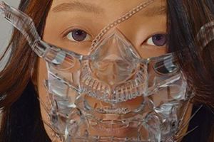 Nhu Xuan Hua: Of Walking on Fire