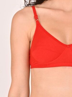 MegentaLace Bralette