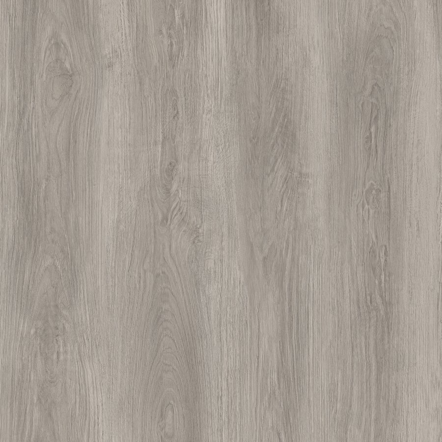 Dove Grey Oak Glue Down LVT