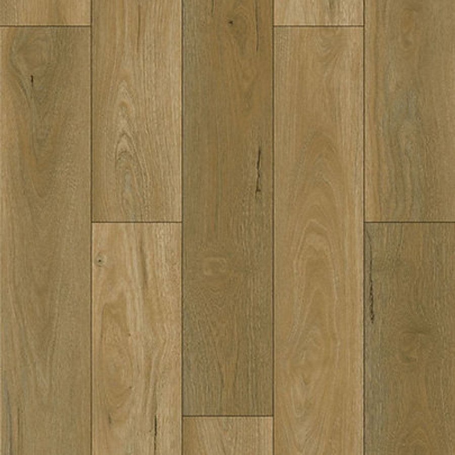 Oak Golden Premium 8mm SPC Click
