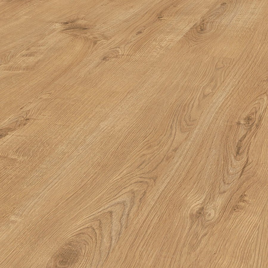 Forest Oak 8mm Laminate Flooring