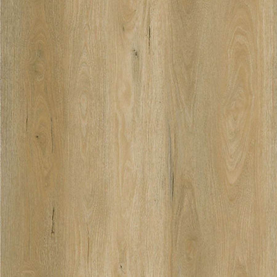 Dune Oak Premium 8mm SPC Click