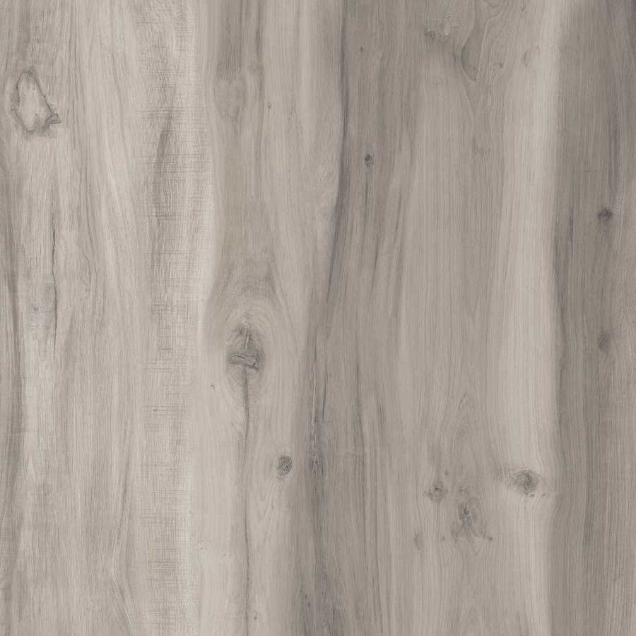 Monumental Grey Oak Glue Down LVT