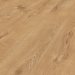Forest Oak Laminate 12mm