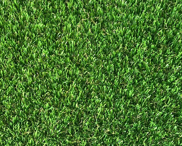 Augusta 38mm Artificial Grass