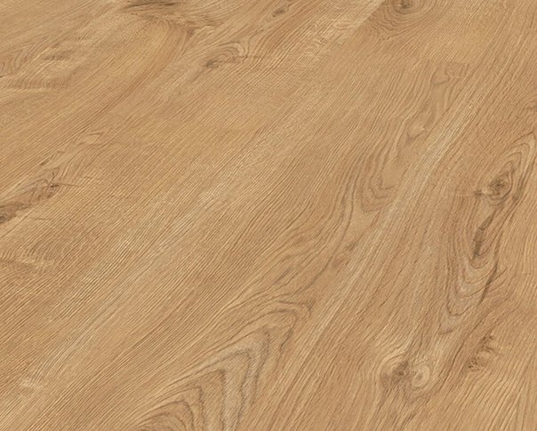 Forest Oak Laminate 12mm